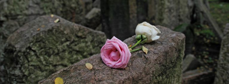 053/17 | Jüdische Grabsteinfragmente in Hüls: Grüne für Rückführung auf alten Friedhof