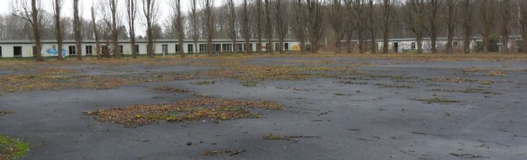 068/17 | Grüne zur Aufforstung der Forstwald-Kaserne: CDU verhält sich scheinheilig